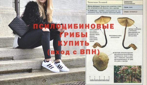 кокаин премиум Абинск