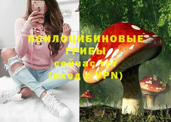 ECSTASY Алзамай